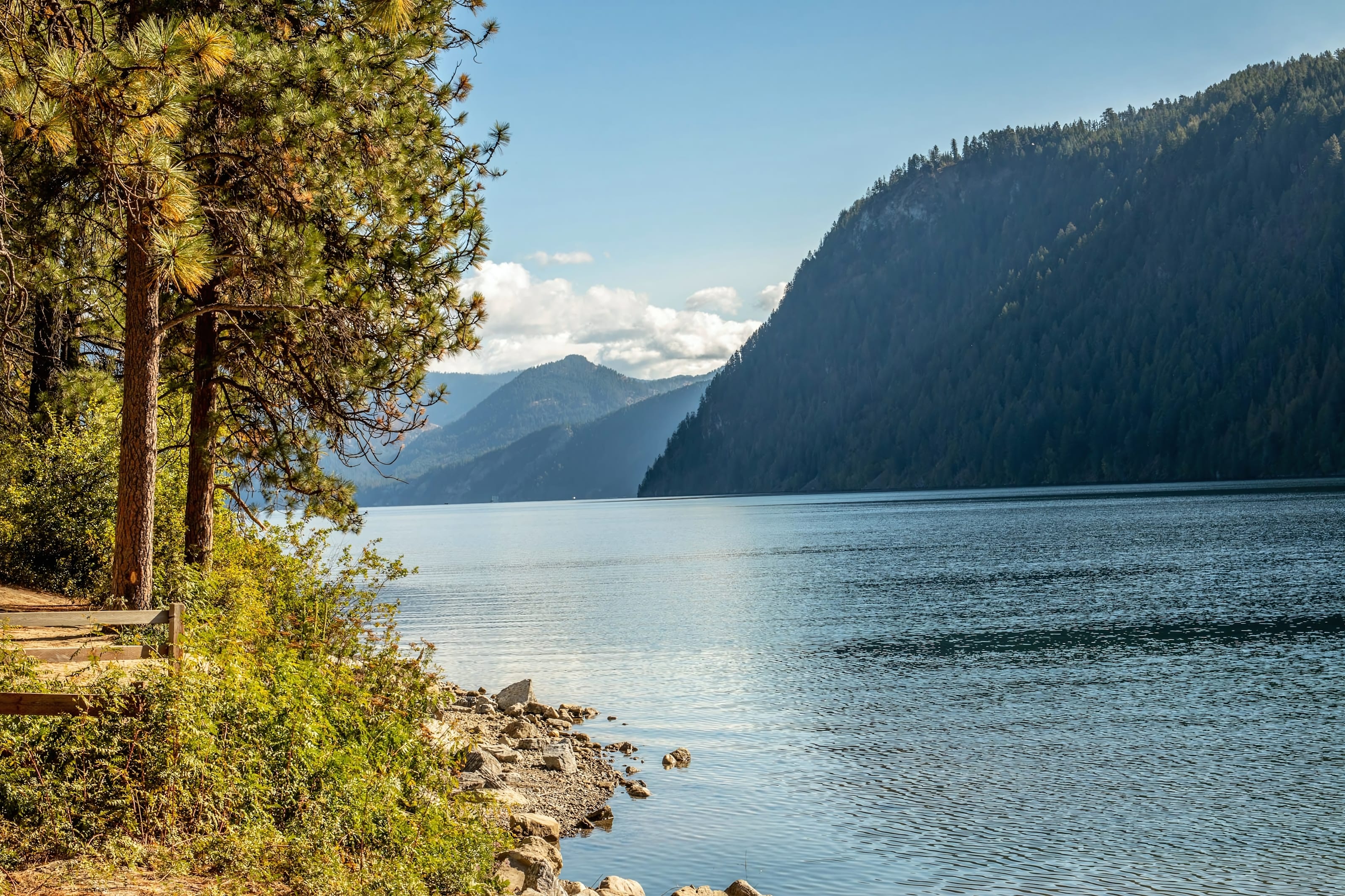 Calm water bordered by pine forest along the Pend Oreille River near Dover, Idaho