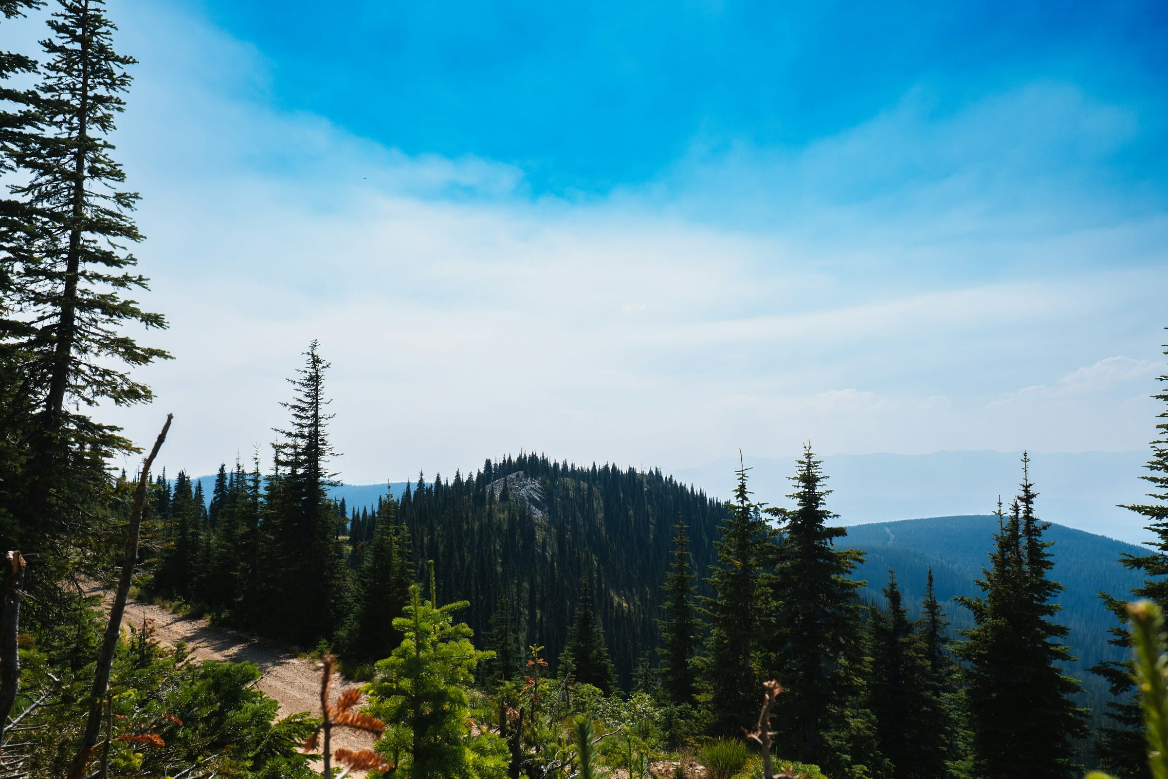 Evergreen forest covering the mountains of North Idaho