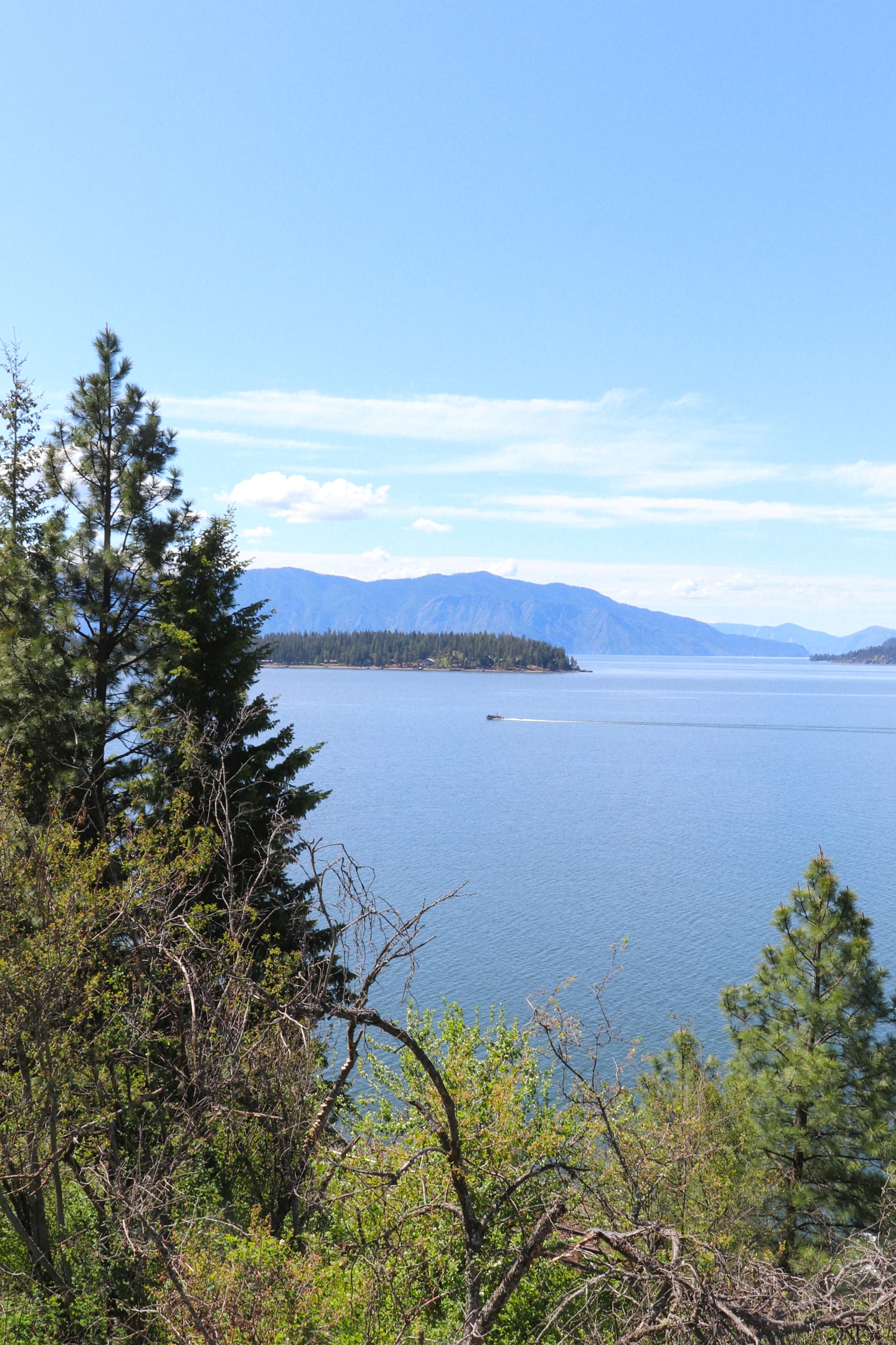 Forested bluffs above the blue water of Lake Pend Oreille near Sagle, Idaho